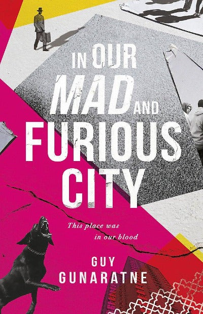 In Our Mad and Furious City : Winner of the International Dylan Thomas Prize
