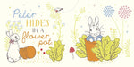 Load image into Gallery viewer, Peter Rabbit: Hello Peter!
